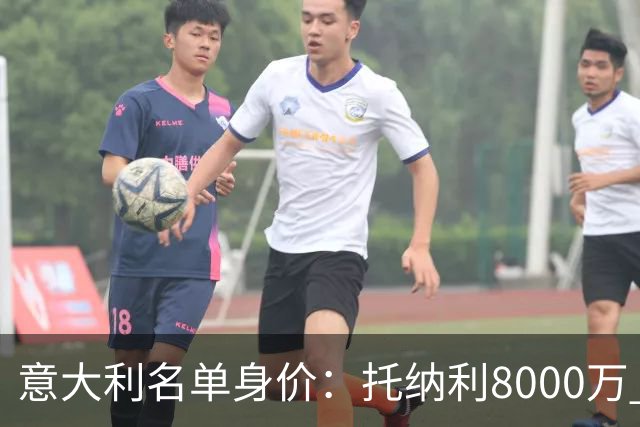 意大利名单身价：托纳利8000万 巴斯托尼6500万 仅10人超过3千万
